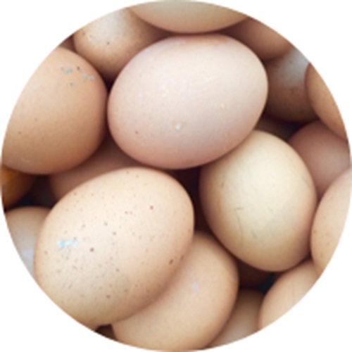Jajka zawierają niewielką ilość witaminy D